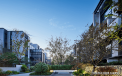 价钱较低能够均衡