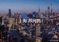 的吊顶、华贵的亚